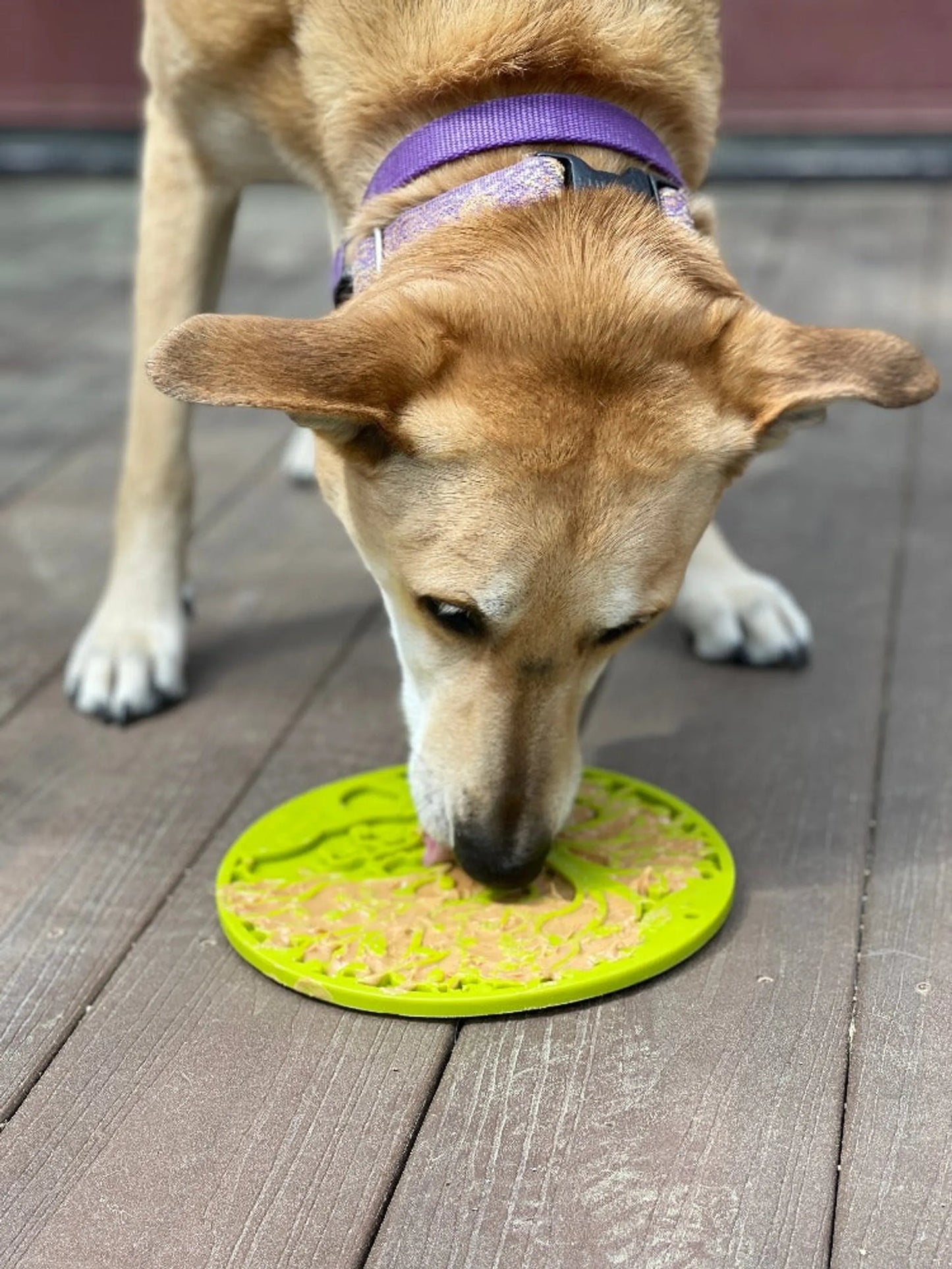 Tree of Life eMat - Enrichment Lick Mat For Dogs and Cats