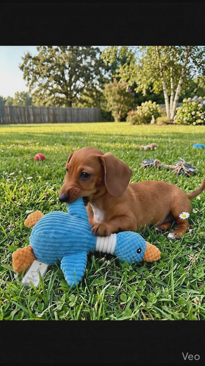 Durable Goose Plush Dog Toy – Built for Tug & Tough Play