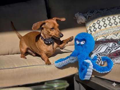 The ‘Never-Boring’ Crabby Octopus Tough Dog Toy